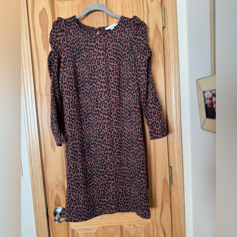 Pre-loved, leopard print mini dress from Loft Size XS.
